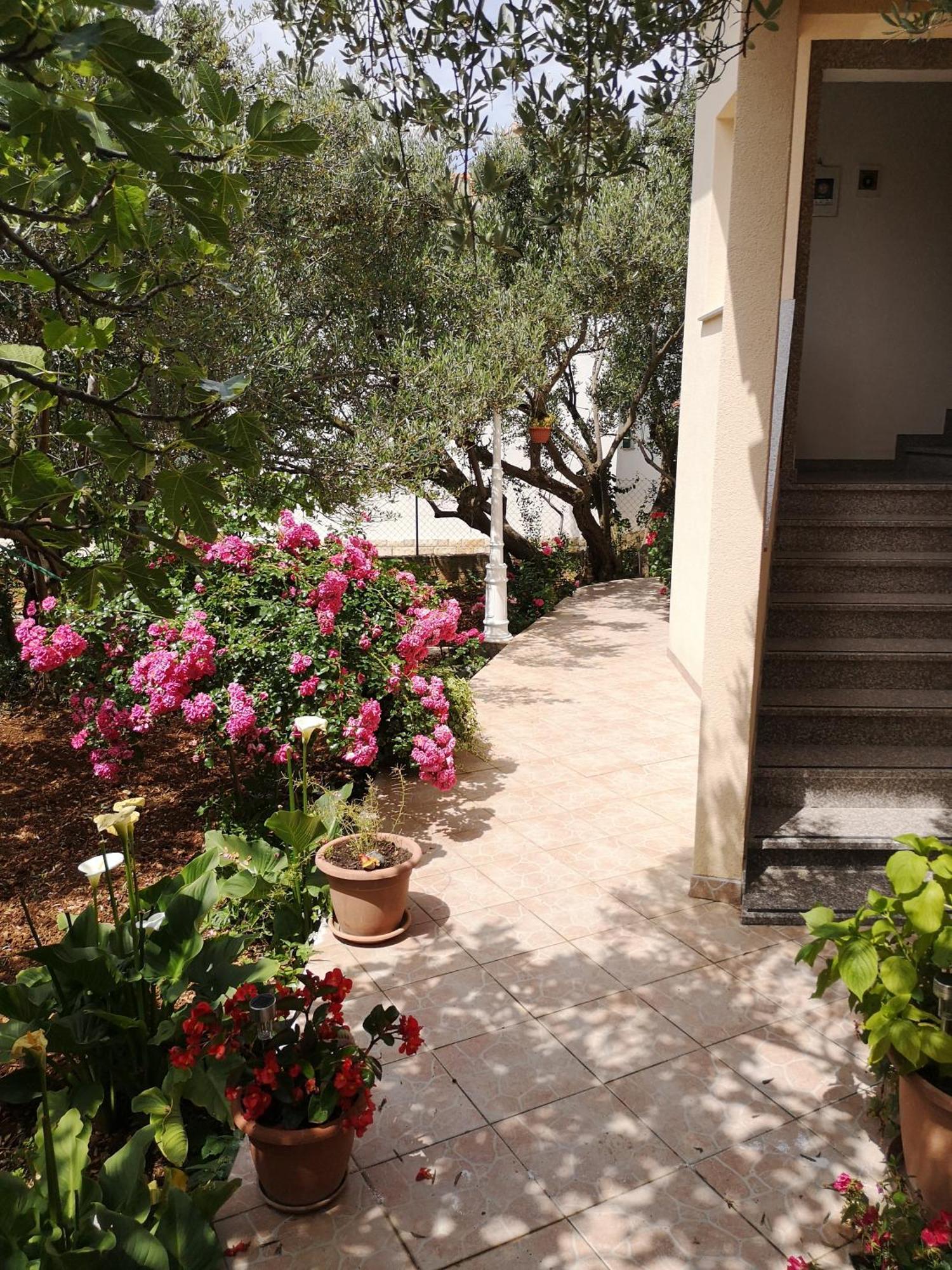 Apartments Govic Zaboric Esterno foto